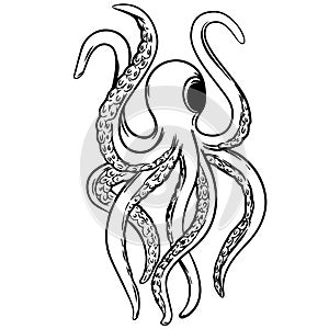 Kraken octopus vector illustration by crafteroks