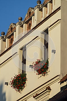 Krakow flowers photo