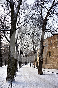 Krakow - The Planty - Winter - Poland