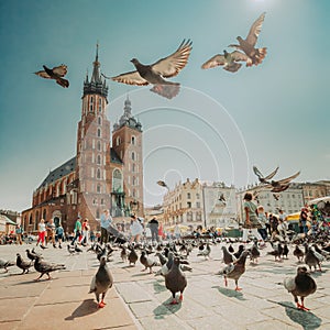 Krakow, Poland. Doves Birds Flying Near St. Mary's Basilica. Pigeons Flying Near Church Of Our Lady Assumed Into Heaven