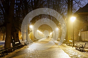 KRAKOW, POLAND - JANUARY 31, 2017: Planty city park