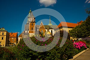 KRAKOW, POLAND: Lots of tourists visiting famous historical complex of Wawel Royal Castle and Cathedral in Krakow