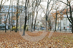 KRAKOW, POLAND - NOVEMBER 27, 2019: Planty - city park