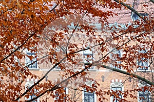 KRAKOW, POLAND - NOVEMBER 27, 2019: Planty - city park