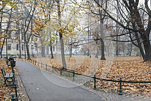 KRAKOW, POLAND - NOVEMBER 27, 2019: Planty - city park