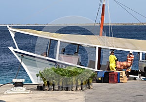 Kralendijk - Bonaire photo