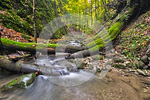 Kralicka tiesnava gorge at Kremnice Vrchy mountains