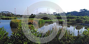 Kranji marshes, Singapore