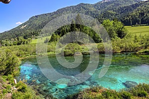 Kranjska Gora Zelenci park. Lake Zelenci in Slovenia during spring