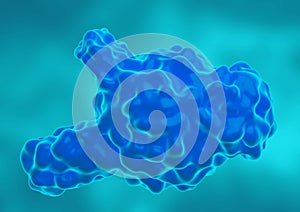 KRAS oncogene homologous to the Kirsten virus, from mouse sarcoma. Protein that mutates in the development of cancer