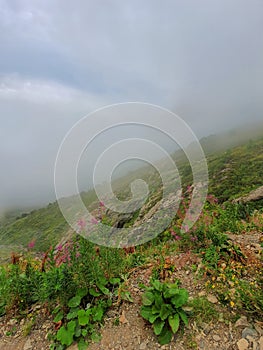 Krasnaya Polyana in Sochi, Russia