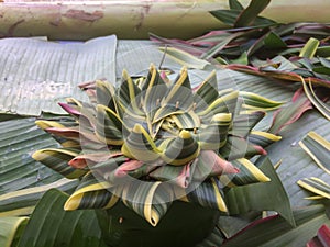 Krathong fabrication of natural materials for Loy Kratong Festival.