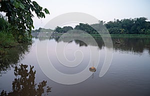 A Krathong floating on the river during Loy Krathong festival in Thailand.