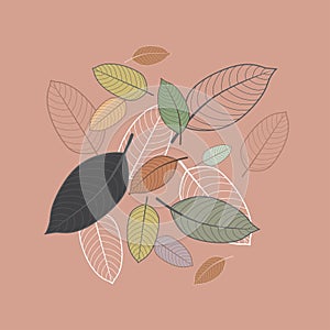 kratom leaf background