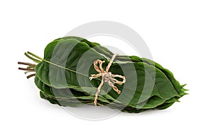 Kratom or Mitragyna speciosa green leaves isolated on white background with clipping path