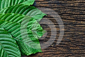 Kratom or Mitragyna speciosa leaves on the wood background photo