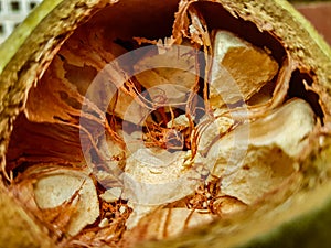 Kremetart fruit open