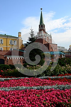 Kremlin and Alexander Gardens - Moscow