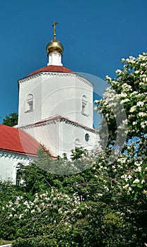 The Kremlin in Syzran.