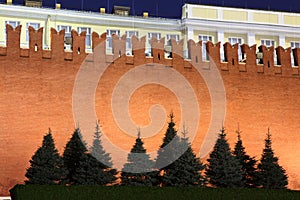 Kremlin wall and Senate in Red Square, Moscow