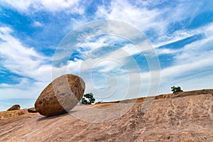 The Krishna`s Butterball in Tamil Nadu, India