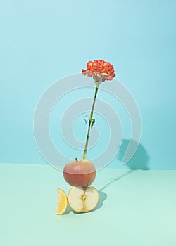A slice of lemon, apple and carnation in the force of balance on a blue background. Minimal layout concept photo