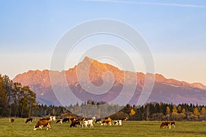 Krivan in Hight Tatras, Slovakia