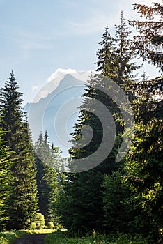 Krivan mountain peak from Koprova dolina valley in Vysoke Tatry mountains in Slovakia