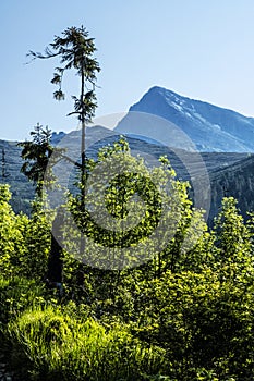 Krivan peak, High Tatras mountains, Slovakia, hiking theme