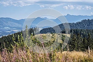 Krivan peak and Liptov basin from Low Tatras, Slovakia