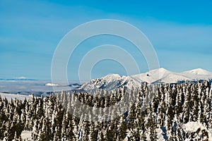 Kriváňská malá Fatra a Babia hora z vrchu Křížava v zimě pohoří Lučanská malá Fatra na Slovensku
