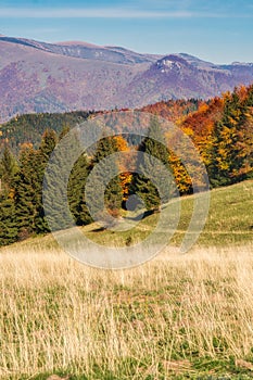 Krizna mountain from Horny diel in Nizke Tatry during fall