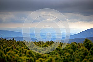 Krkonose mountain, pine forest with clouds. Forest landscape, summer storm, Czech Republic, central Europe.