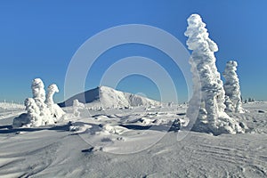 Krkonose mountains with Snezka