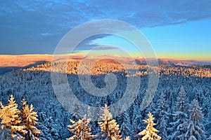 Krkonose Mountains in winter, Czech Republic. Frozen trees, the highest peak Snezka in the background. photo