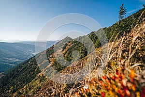 Krkonose moutains (Giant Mountains