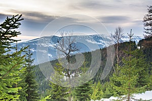 Krkonose, Czech republic photo