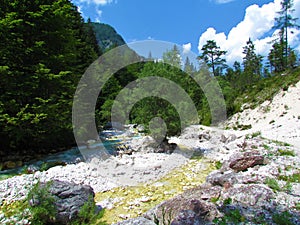 Krnica creek in Julian alps and Triglav national park in Slovenia surrounded by stone alluvium