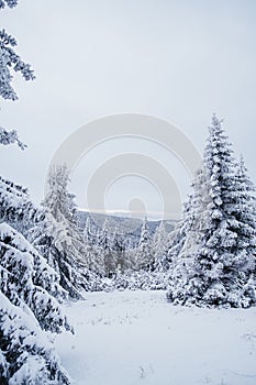 Krokonose mountains in Czech reoublic