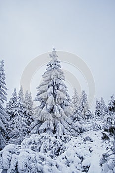 Krokonose mountains in Czech reoublic