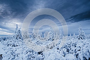 Krokonose mountains in Czech reoublic