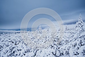 Krokonose mountains in Czech reoublic