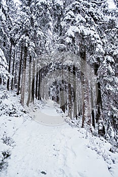 Krokonose mountains in Czech reoublic