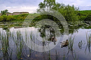 Kronoberg Castle, Smaland, Kronobergs lan, Sweden