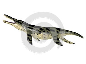 Kronosaurus Reptile Side Profile