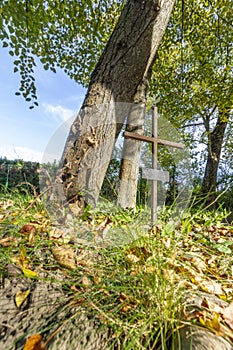 A kross among trees and grass in autumn