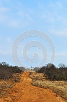 Kruger National Park, Limpopo and Mpumalanga provinces, South Africa, dirt road, 4x4