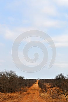 Kruger National Park, Limpopo and Mpumalanga provinces, South Africa, dirt road, 4x4