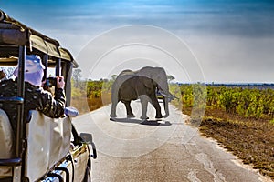 Kruger National Park, South Africa