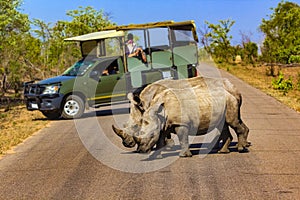 Kruger National Park, South Africa